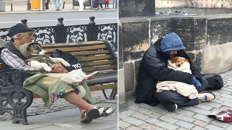 This man treats his dog like a friend, giving it all the best