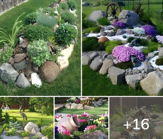 16+ Gorgeous Small Rock Gardens You Will Definitely Love To Copy