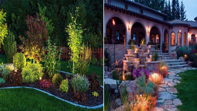 Create Enchanting Ambiance: Amazing Backyard Lighting Ideas