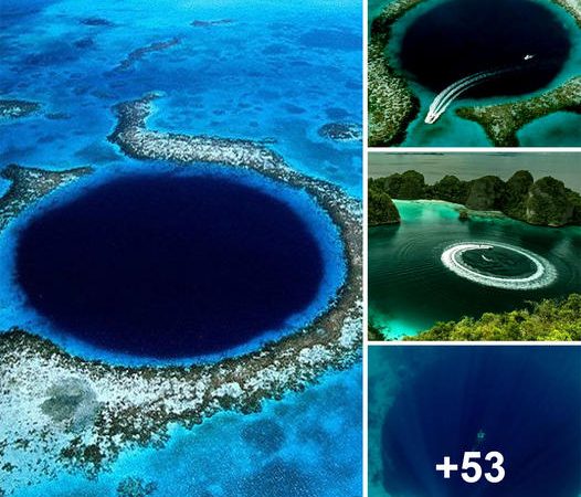 Unveiling The Unknown: A Monumental Discovery In The World’s Largest Blue Hole