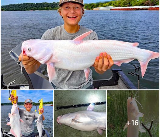 15-Year-Old Boy Makes a Rare Catch: All-White Catfish, the Catch of a Lifetime