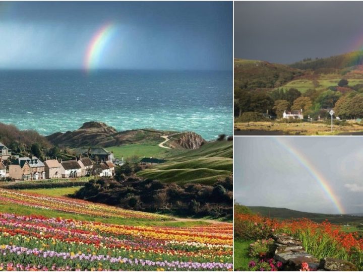 Enchanting Rainbows and Blooming Fields: Discover the Magic of Lulworth Cove, UK