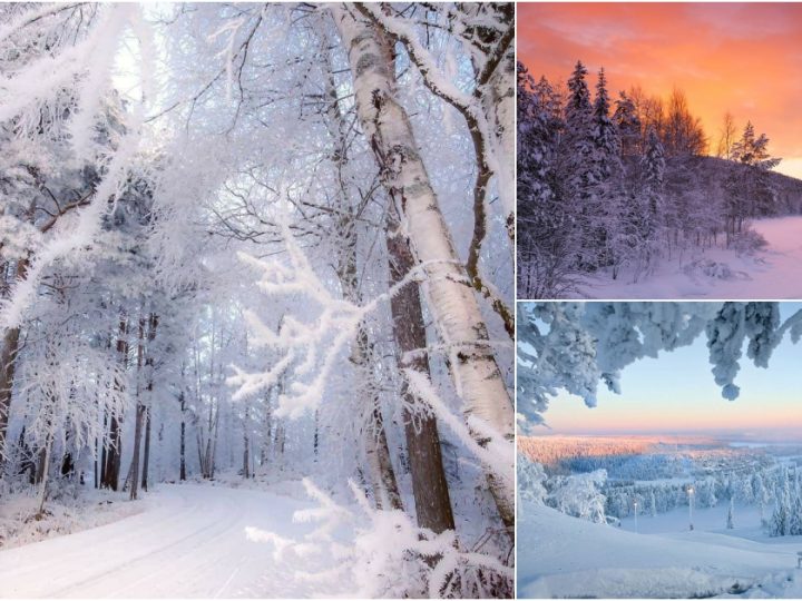 Embracing the Enchantment of Winter in Finland