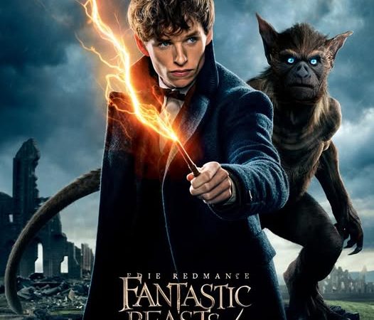 Fantastic Beasts 4: The Return Is Still Uncertain, But Newt Scamander Lives On in Universal Epic Universe